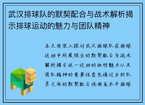 武汉排球队的默契配合与战术解析揭示排球运动的魅力与团队精神