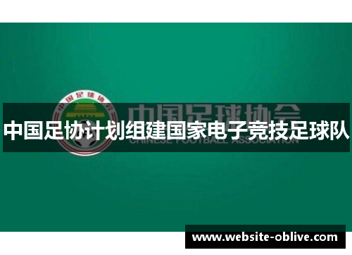 中国足协计划组建国家电子竞技足球队